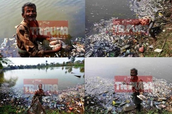 Lack of security in State Capital : miscreants poisoned age-old holy Laxmi Narayan Bari Lake : rotten fishy-smells occupies Agartala City, AMCâ€™s negligence, corruption destroying heritage sites